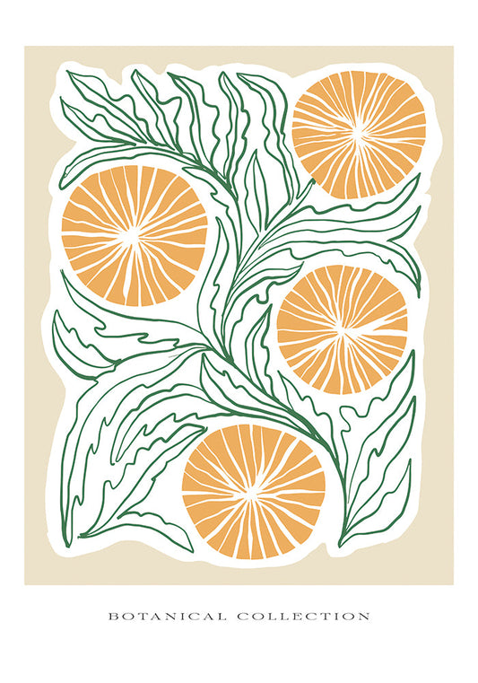 Spring Collectionno 17